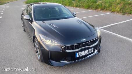 Kia Stinger GT 3.  3 AWD 2018