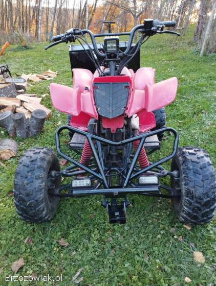 Quad ATV