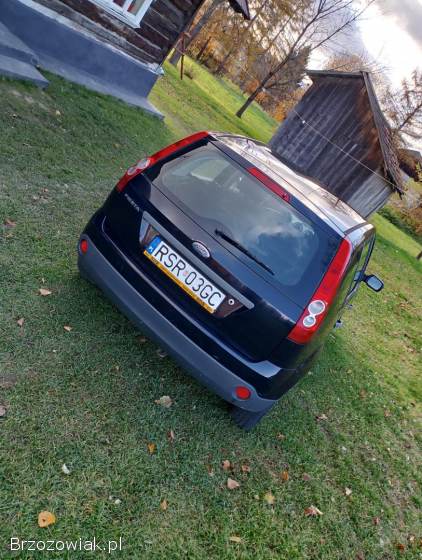 Ford Fiesta Fiesta 2007