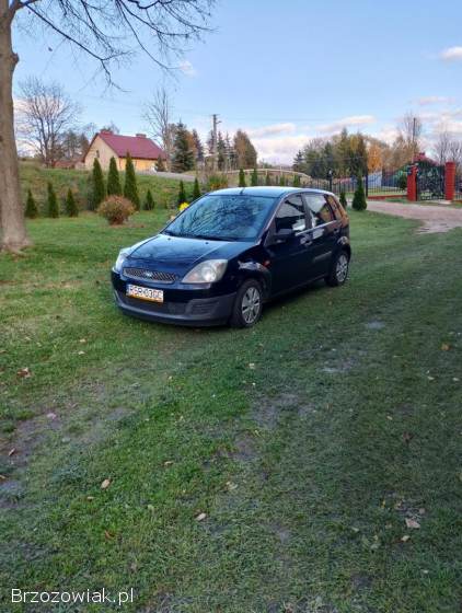 Ford Fiesta Fiesta 2007