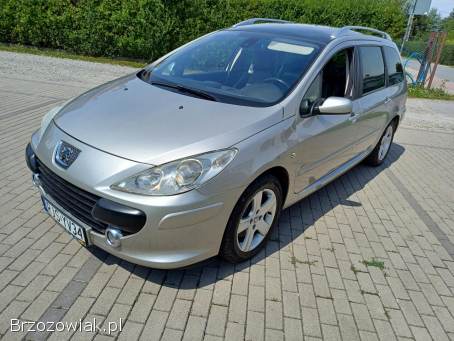 Peugeot 307 SW 2004