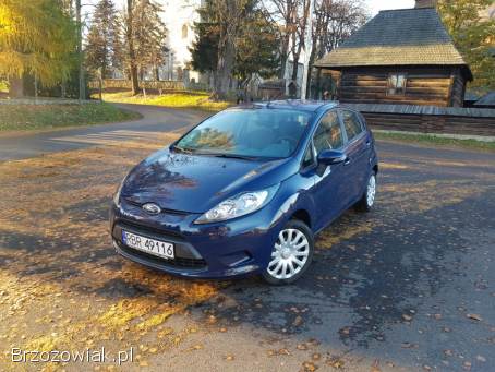 Ford Fiesta 1.  25  2009