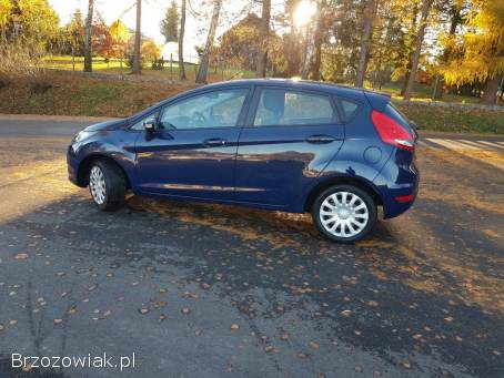 Ford Fiesta 1.  25  2009