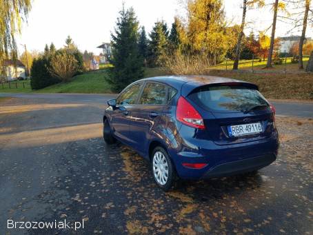 Ford Fiesta 1.  25  2009