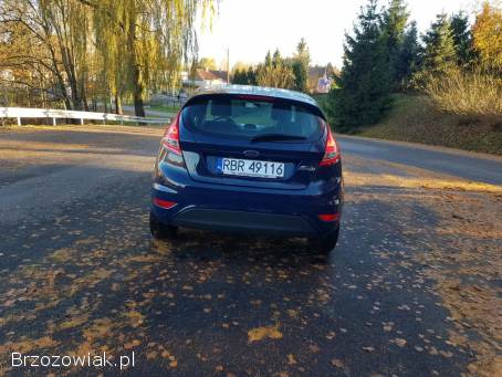 Ford Fiesta 1.  25  2009