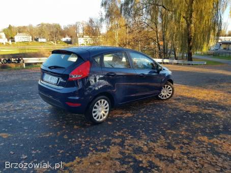 Ford Fiesta 1.  25  2009