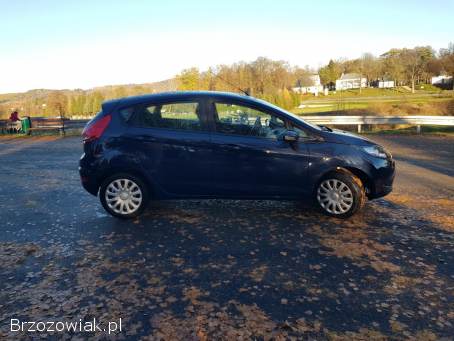 Ford Fiesta 1.  25  2009