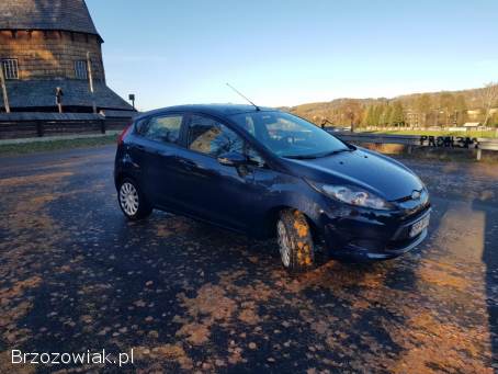 Ford Fiesta 1.  25  2009