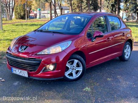 Peugeot 207 2010