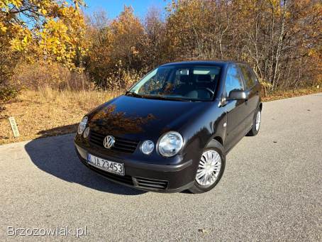 Volkswagen Polo 9N 2004