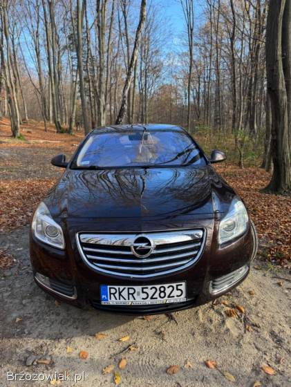 Opel Insignia A liftback 2012