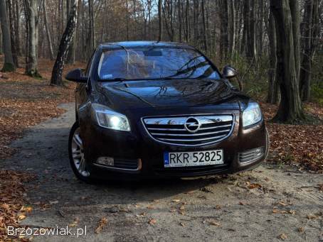 Opel Insignia A liftback 2012