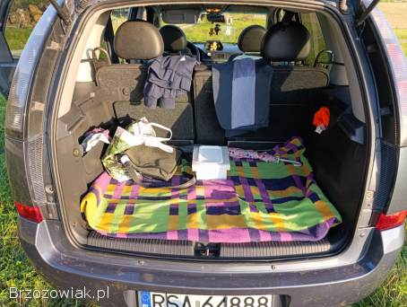 Opel Meriva 2009