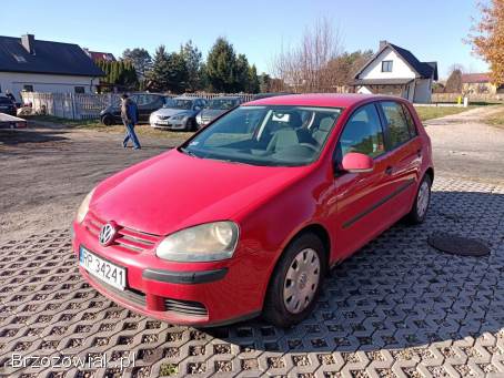 Volkswagen Golf 1.  6 FSI 04r 2004