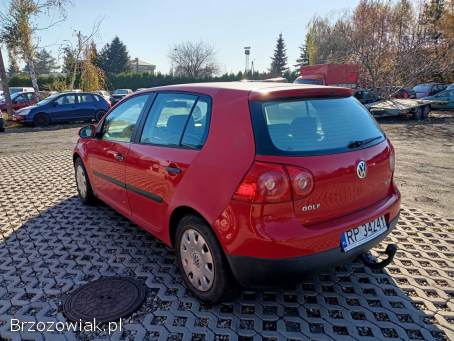 Volkswagen Golf 1.  6 FSI 04r 2004