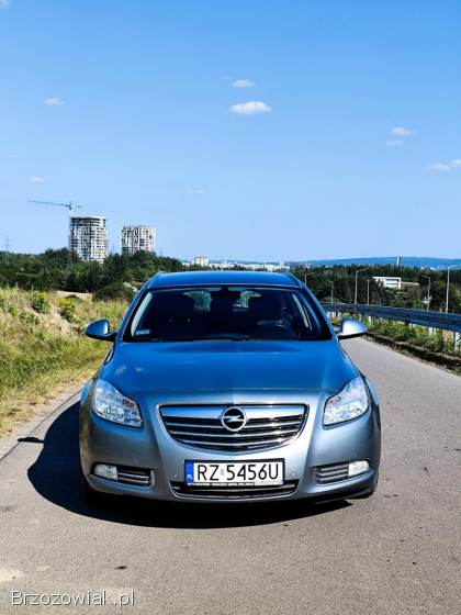 Opel Insignia Ekoflex edition 2011