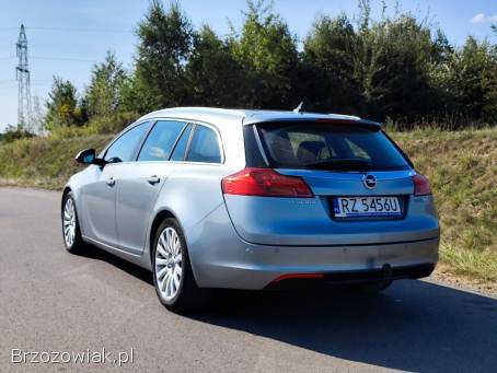 Opel Insignia Ekoflex edition 2011