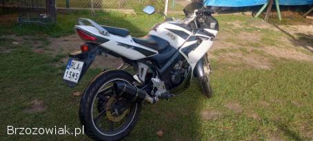 Honda CBR JC39 2008