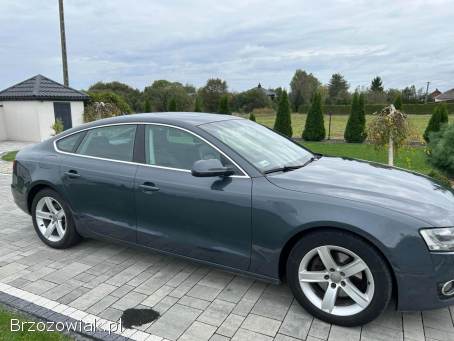 Audi A5 2.  0 TFSI Multitr 2010