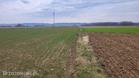 Na sprzedaż -  działki rolne,  leśne i pastwiska