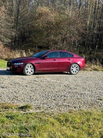 Jaguar XE Prestige  2016
