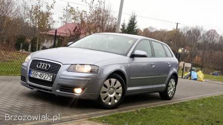 Audi A3 8P 1.  9 TDI  2008