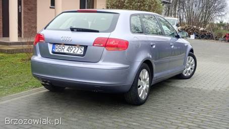 Audi A3 8P 1.  9 TDI  2008