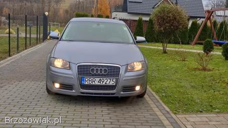 Audi A3 8P 1.  9 TDI  2008