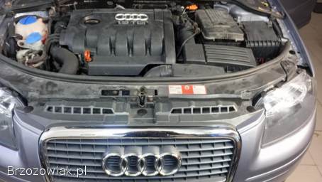 Audi A3 8P 1.  9 TDI  2008