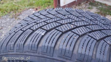 Nexen opony zimowe 225/55 R16 sport 2 sztuki