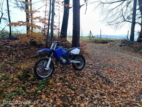 Yamaha YZ 2004