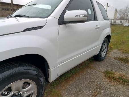 Suzuki Grand Vitara Comfort 2010