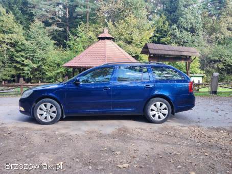 Škoda Octavia 2 FL 2010