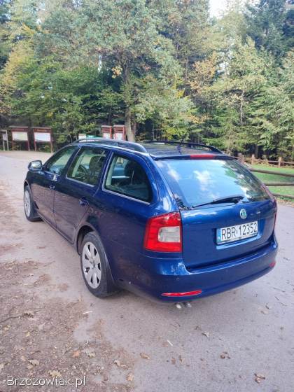 Škoda Octavia 2 FL 2010