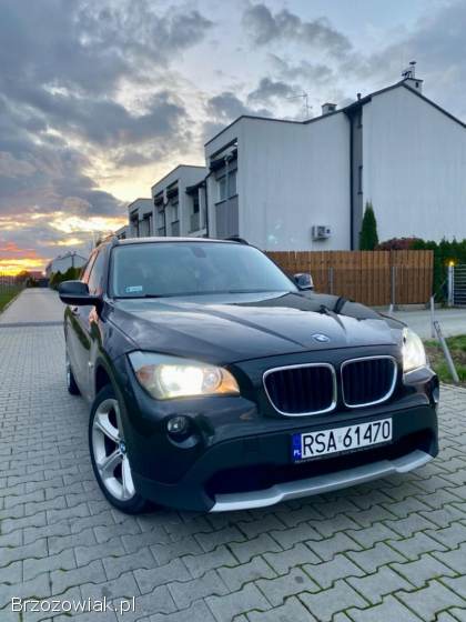 BMW X1 E84 2010