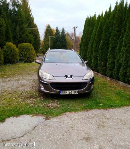 Peugeot 407 SW Kombi 2005