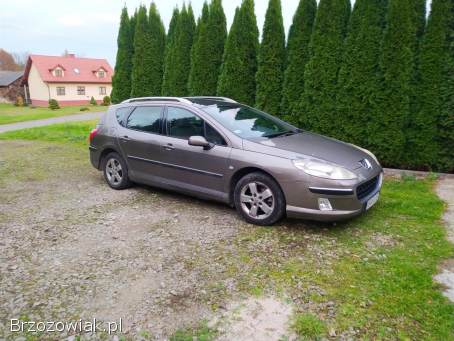 Peugeot 407 SW Kombi 2005