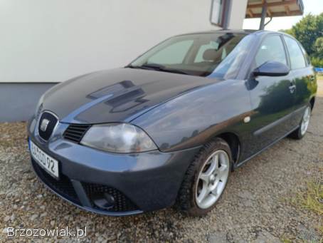 Seat Ibiza Benzyna Lift 2007