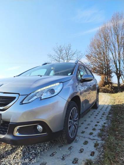 Peugeot 2008 2013