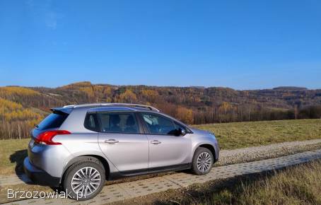 Peugeot 2008 2013