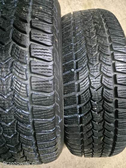 Opony zimowe 215/60 R16 Dębica Frigo