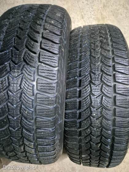 Opony zimowe 215/60 R16 Dębica Frigo