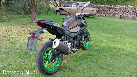 Kawasaki Z500SE 2023