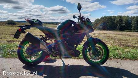 Kawasaki Z500SE 2023