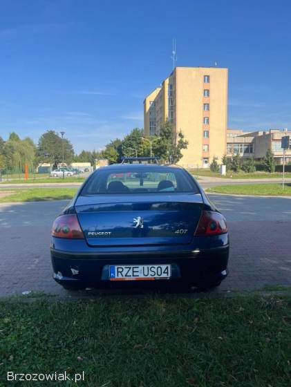 Peugeot 407 2005