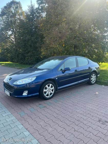 Peugeot 407 2005