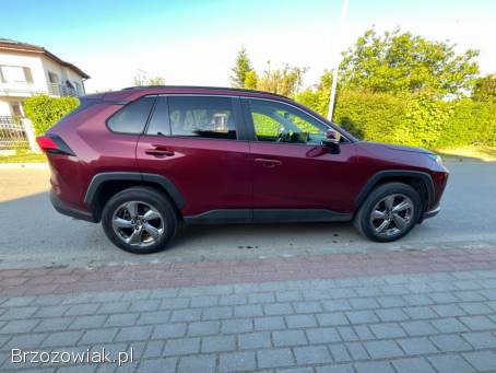 Toyota RAV4 Comfort 2019