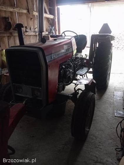 Massey Ferguson 265