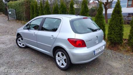 Peugeot 307 1.  6 Klimatyzacja 2005