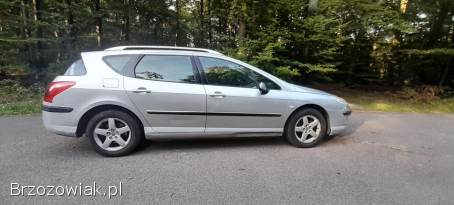 Peugeot 407 SW 2004